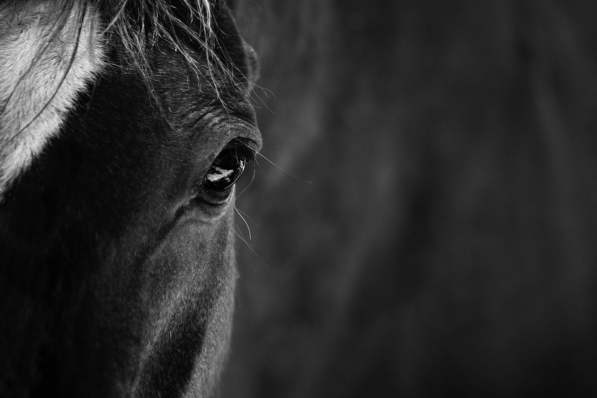 WALL ART - Black and White