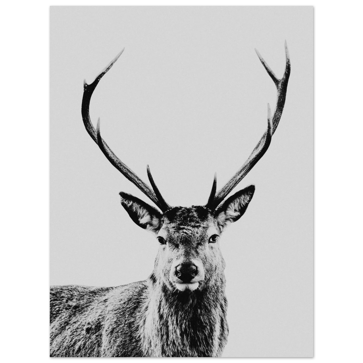 003a2ab8-7834-48fc-b4f3-01f9c37b64c7
