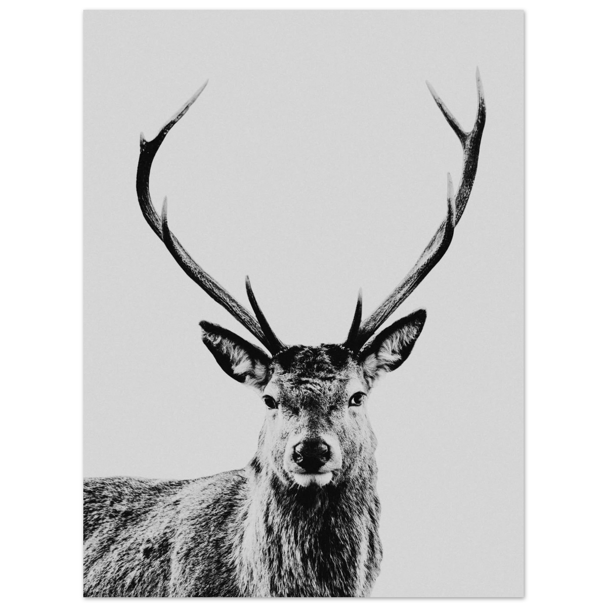 003a2ab8-7834-48fc-b4f3-01f9c37b64c7