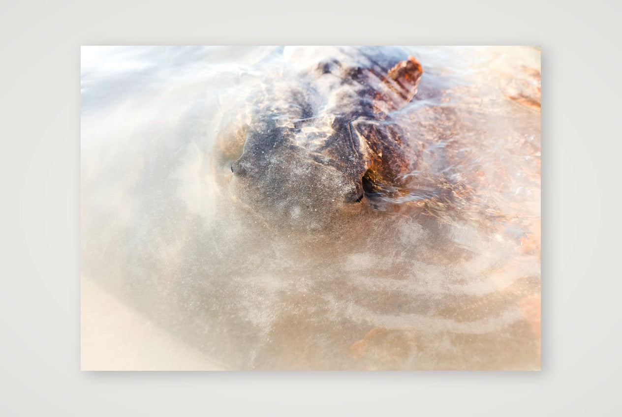 461 — A3 (42×30cm, 17×12") Print only