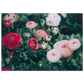 009440a9-bfb6-4c2f-9d9e-9f2c482ef895