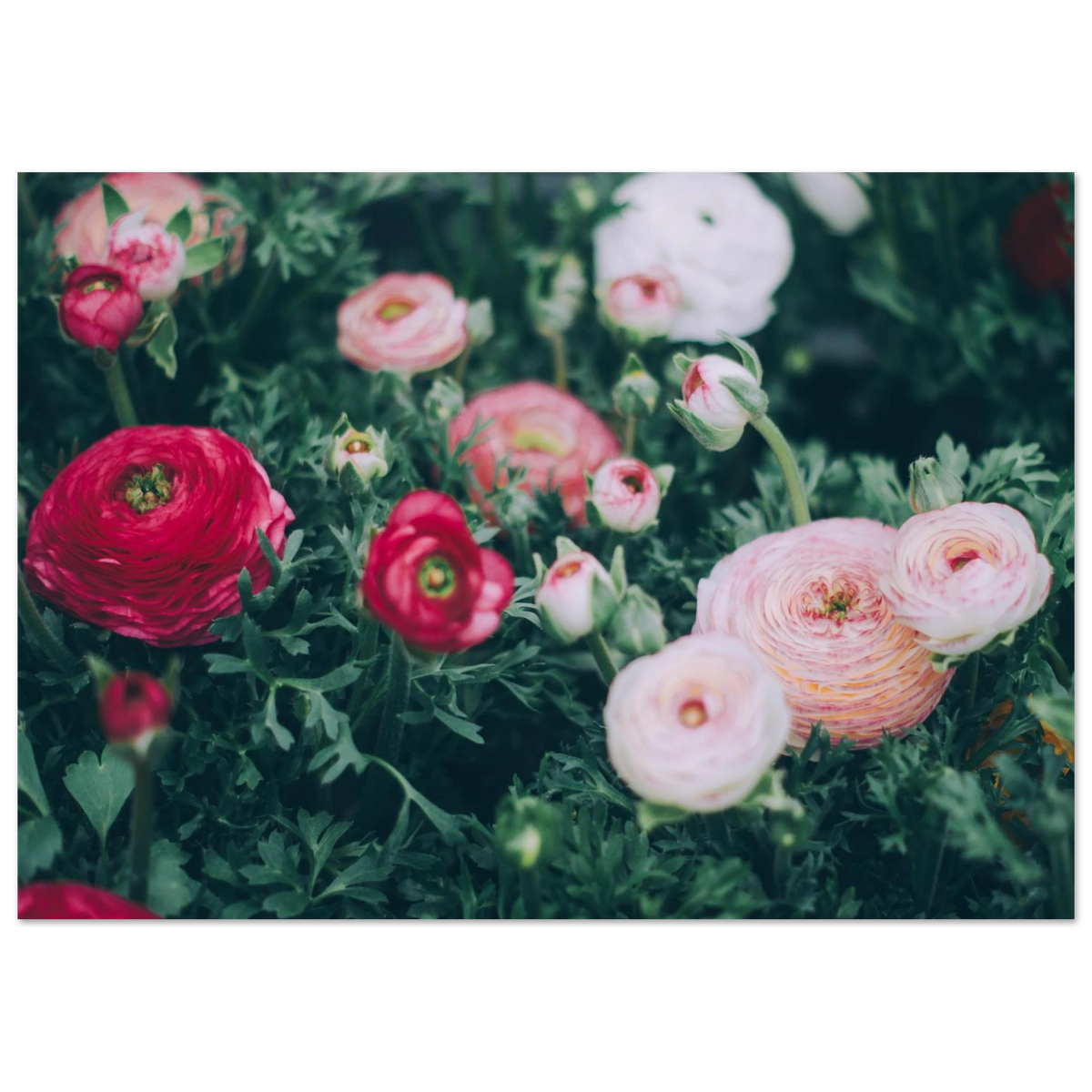 009440a9-bfb6-4c2f-9d9e-9f2c482ef895