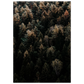 00db8a56-3566-44b2-b5c8-1e5adb5236c9
