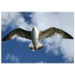 01335eca-89b2-4ec4-a689-34572ec3ac79