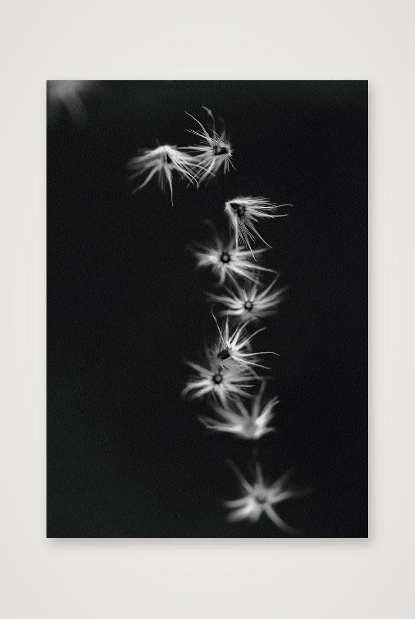 485 — 59×84cm, 23×33" Print only