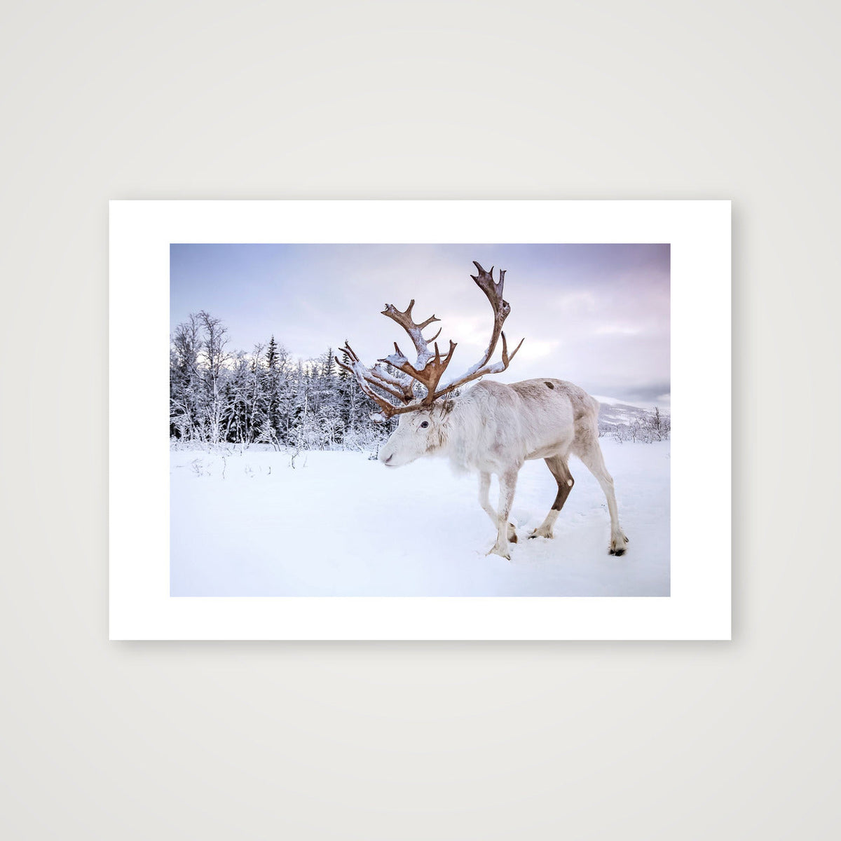63 — A3 (42×30cm, 17×12") Print only