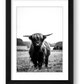 102  — framed