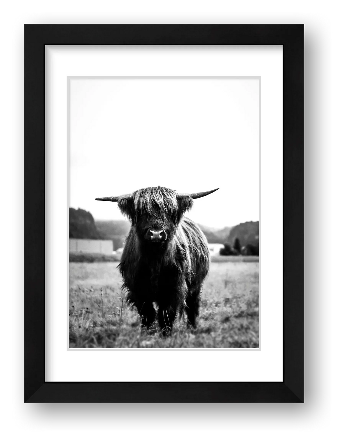 102  — framed