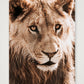 1811 — 42×59cm, 17×23" Print only