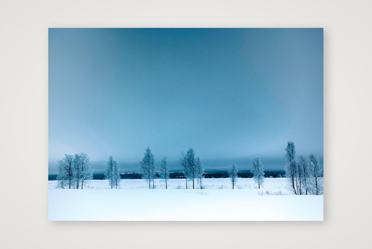 448 — 84×59cm, 33×23" Print only