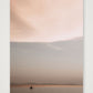1339 — 42×59cm, 17×23" Print only