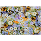 03c01485-bdc3-4996-9f00-b0746c09178b