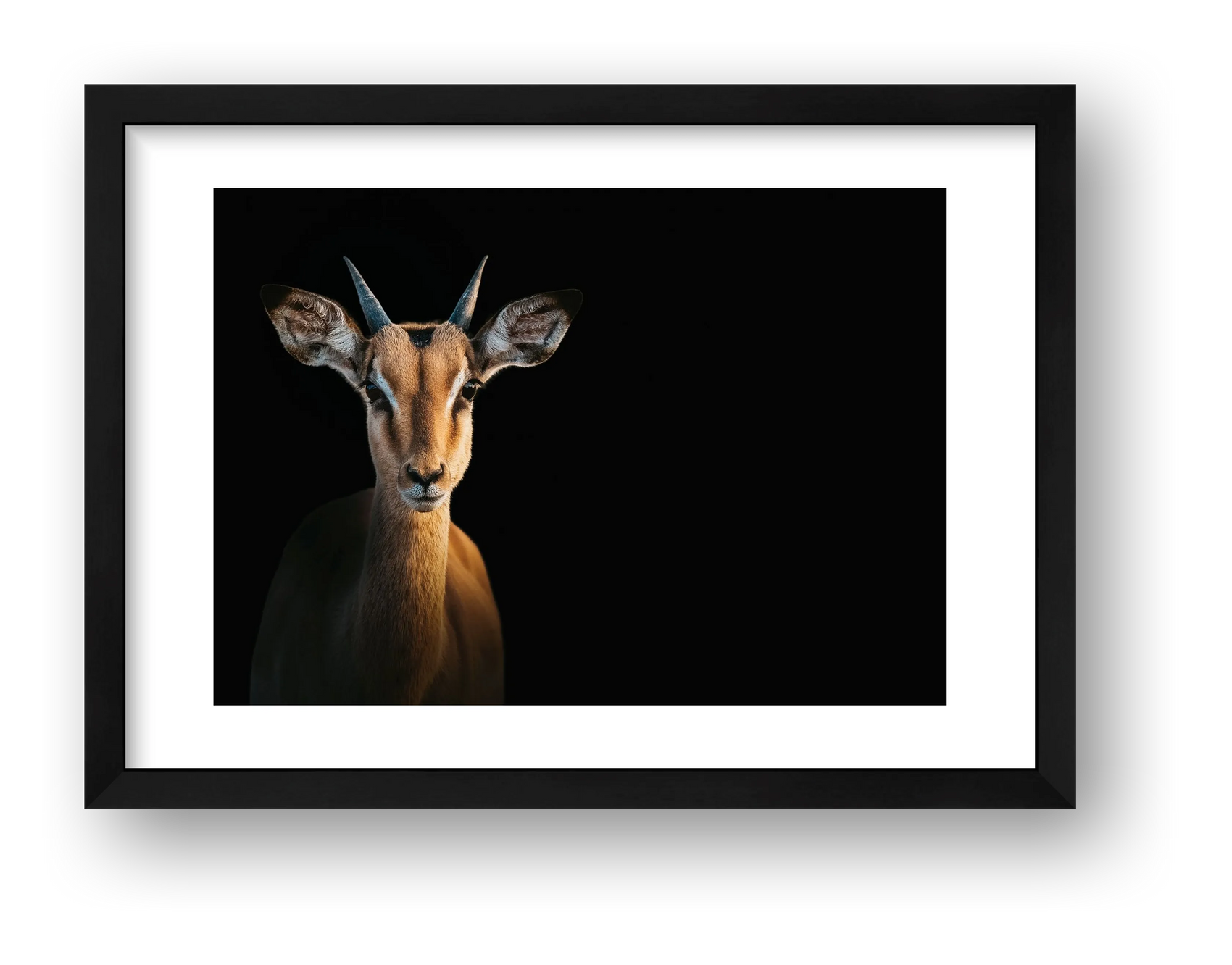 117 — framed