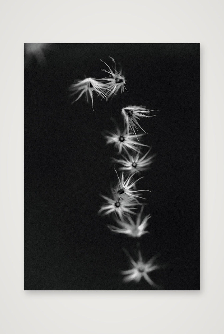 485 — 42×59cm, 17×23" Print only