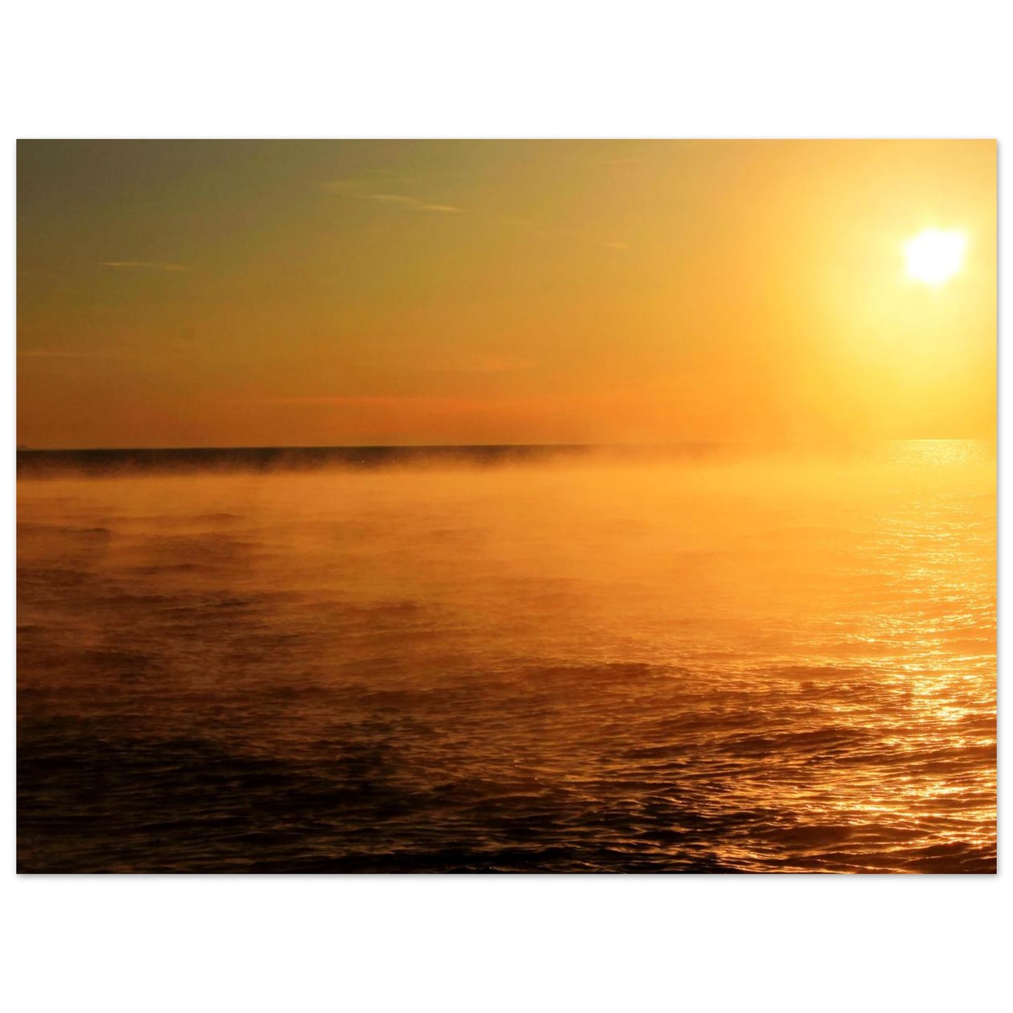 06703b5a-b808-496a-8641-07cb1efe7b99