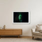498 — 84×59cm, 33×23" White Frame