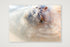 461 — A4 (30×21cm, 12×8") Print only