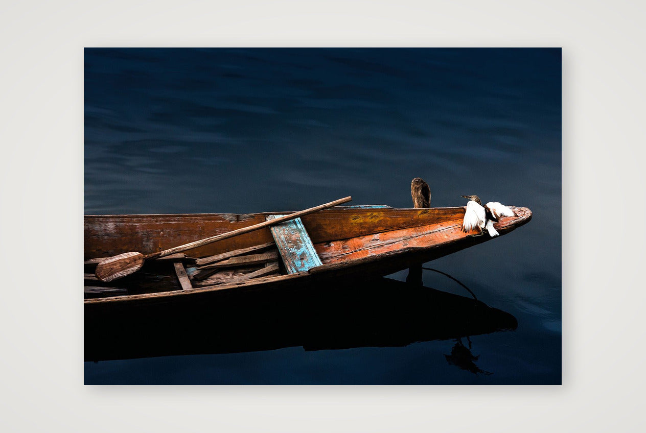 14 — A3 (42×30cm, 17×12") Print only