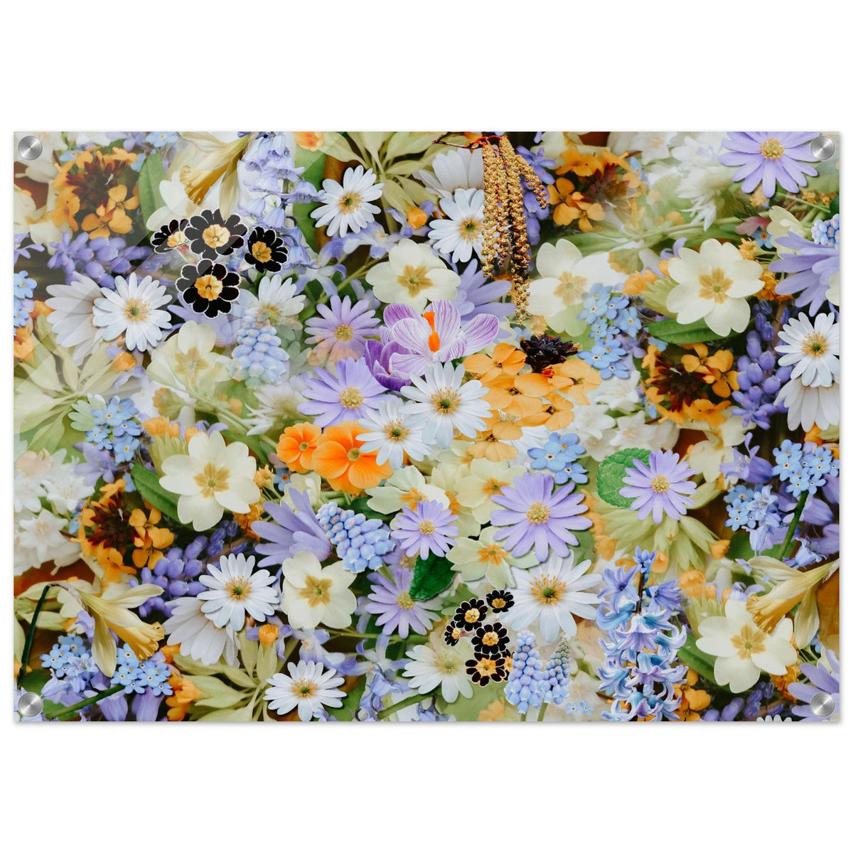 0868ba3e-cfe5-4036-ba25-c11377511f6e