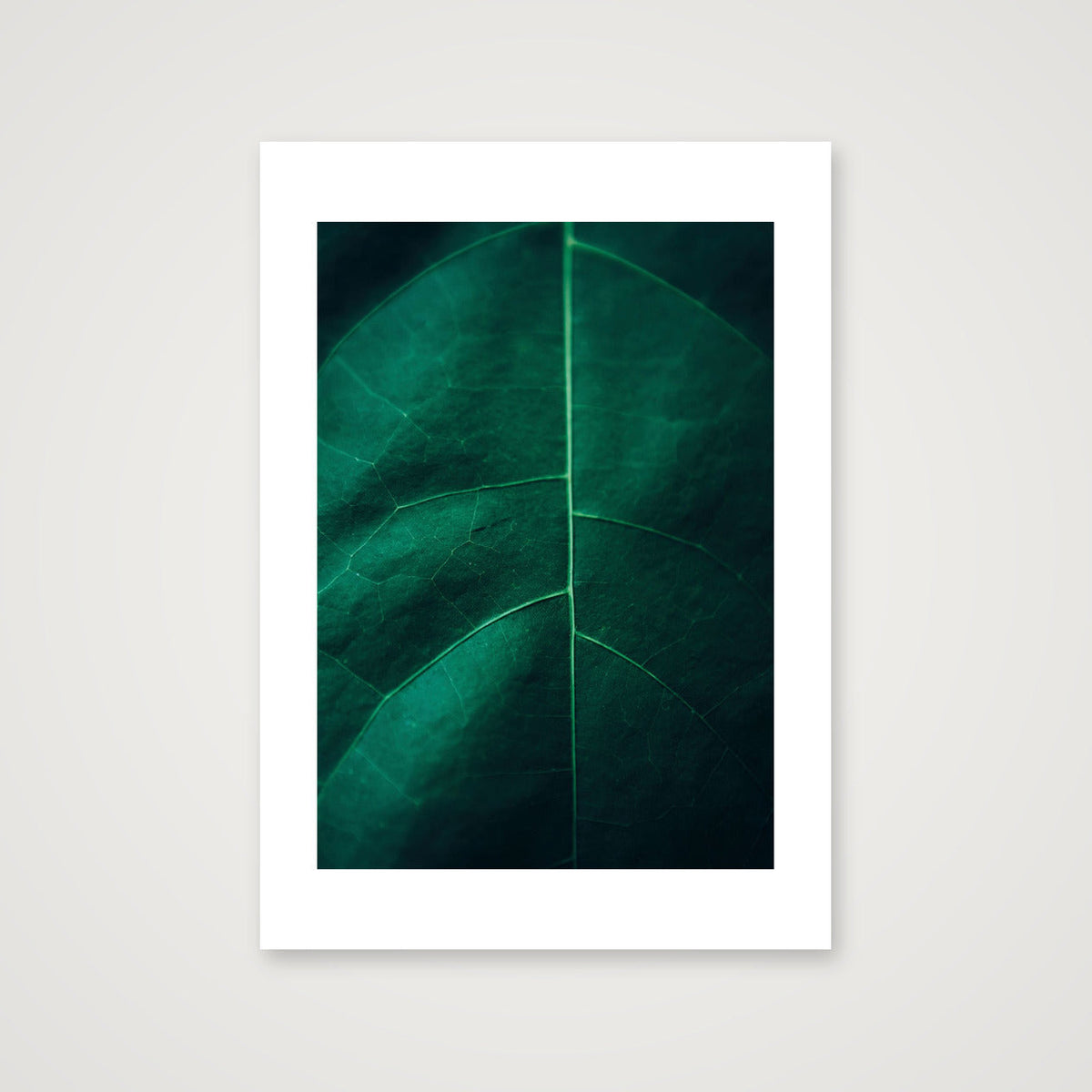 11 — A4 (21×30cm, 8×12") Print only