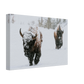 095f5f6c-5fbd-4aeb-9de9-5edf56d7d6d0