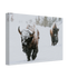 095f5f6c-5fbd-4aeb-9de9-5edf56d7d6d0
