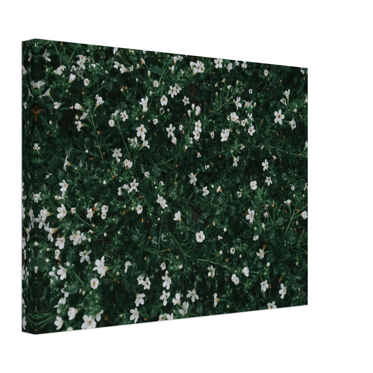 097062dc-587b-4937-b847-789252799041