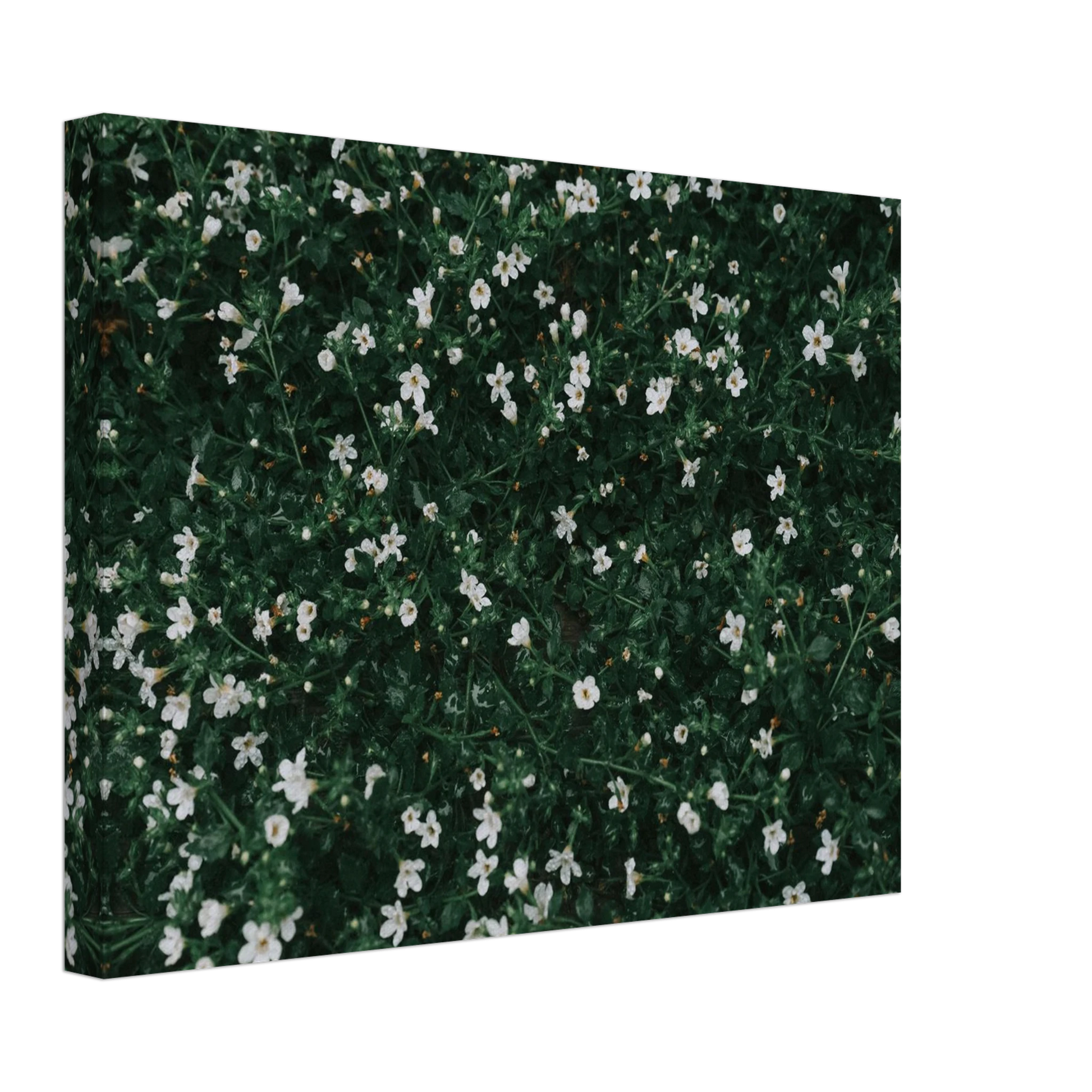 097062dc-587b-4937-b847-789252799041