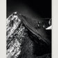 438 — A3 (30×42cm, 12×17") Print only