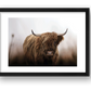 1588 — framed