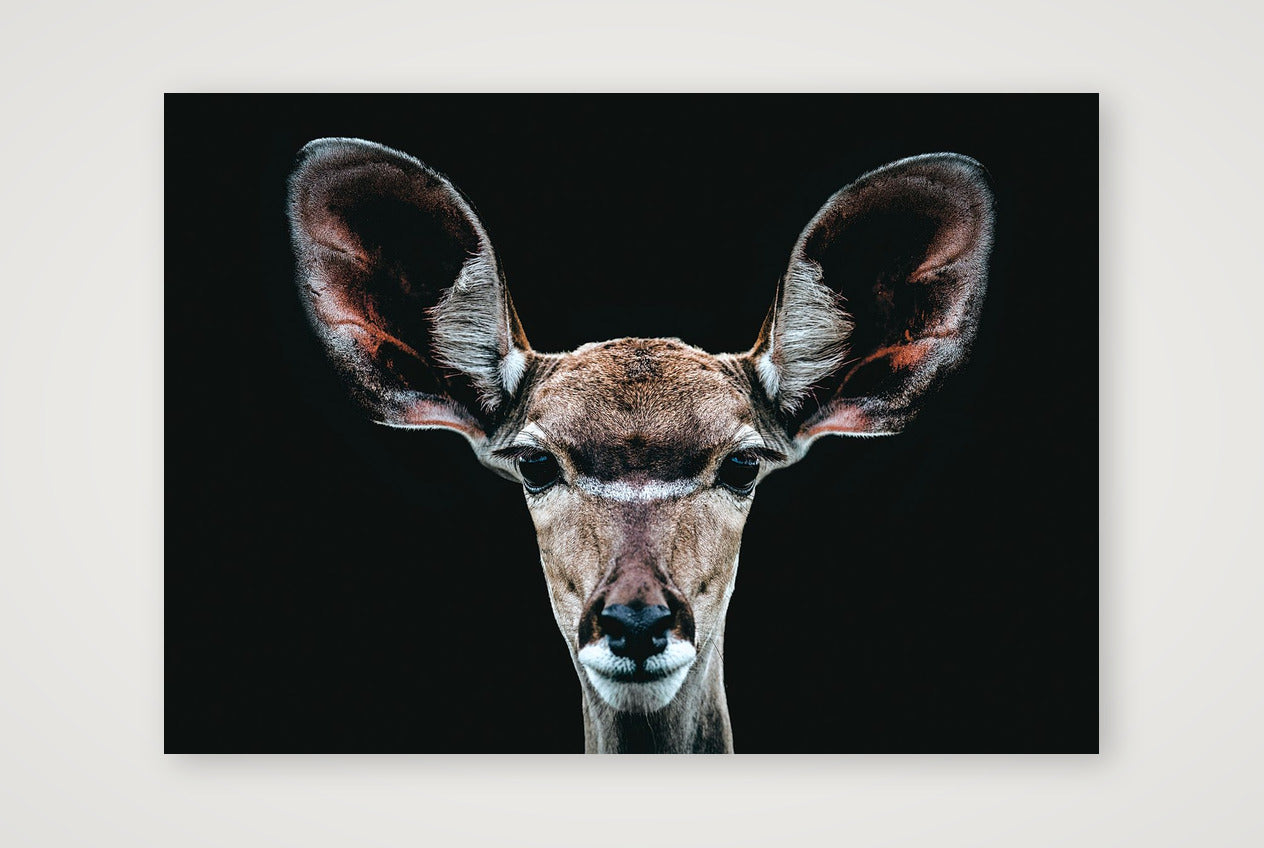 83 — A3 (42×30cm, 17×12") Print only