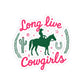 Cowgirl Sticker Western Gift For Her Rodeo Party Favor Horse Lover Decal Bachelorette Keepsake Ranch Style Laptop Accessory Country Present