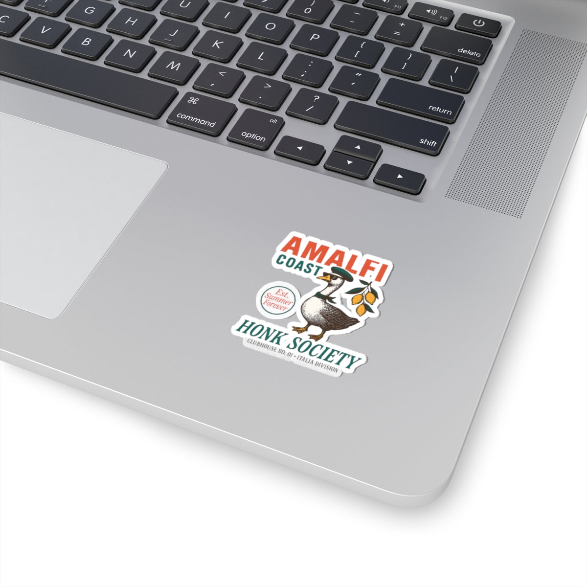 Amalfi Coast Goose Sticker Italian Summer Travel Lover Gift For Silly Goose Lover Coastal Vacation Decal Cute Europe Gift For Italy Lover
