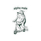 Funny Frog Sticker Gift For Dad Alpha Male Meme Decal Gift For Male Friend Cute Frog on Scooter Laptop Sticker Sarcastic Humor Gift Friend