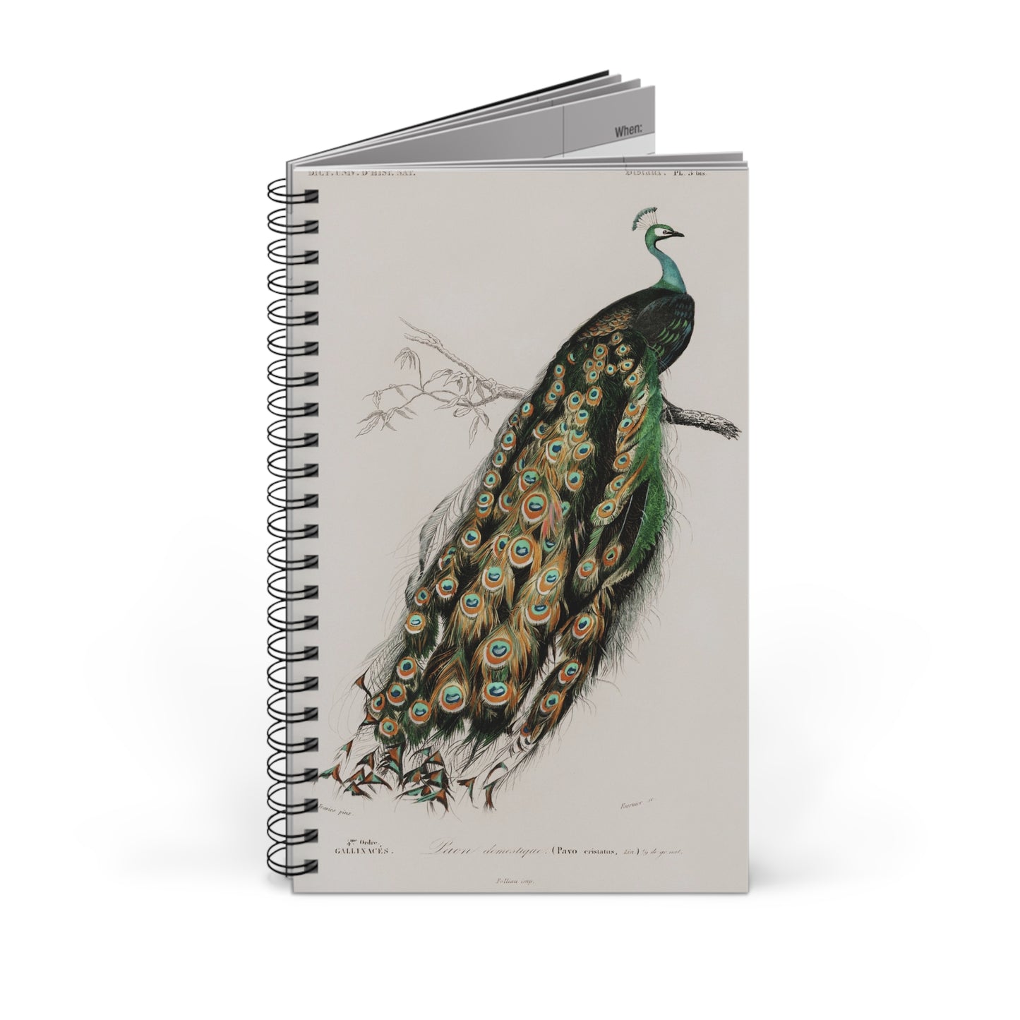 SUMMER - College Notebook Gift For Journalling Spiral Notebook - Ruled Line Journal For Woman Spiral Note Book Aesthetic Stationery Work Notebook