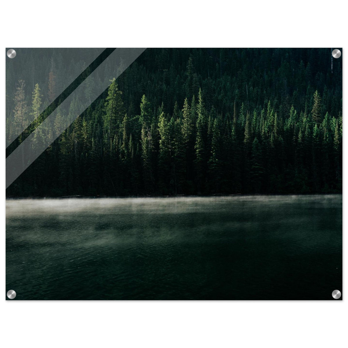 Quartz Lake misty evergreen forest #PD_310 acrylic print display view 2