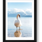 487 — framed