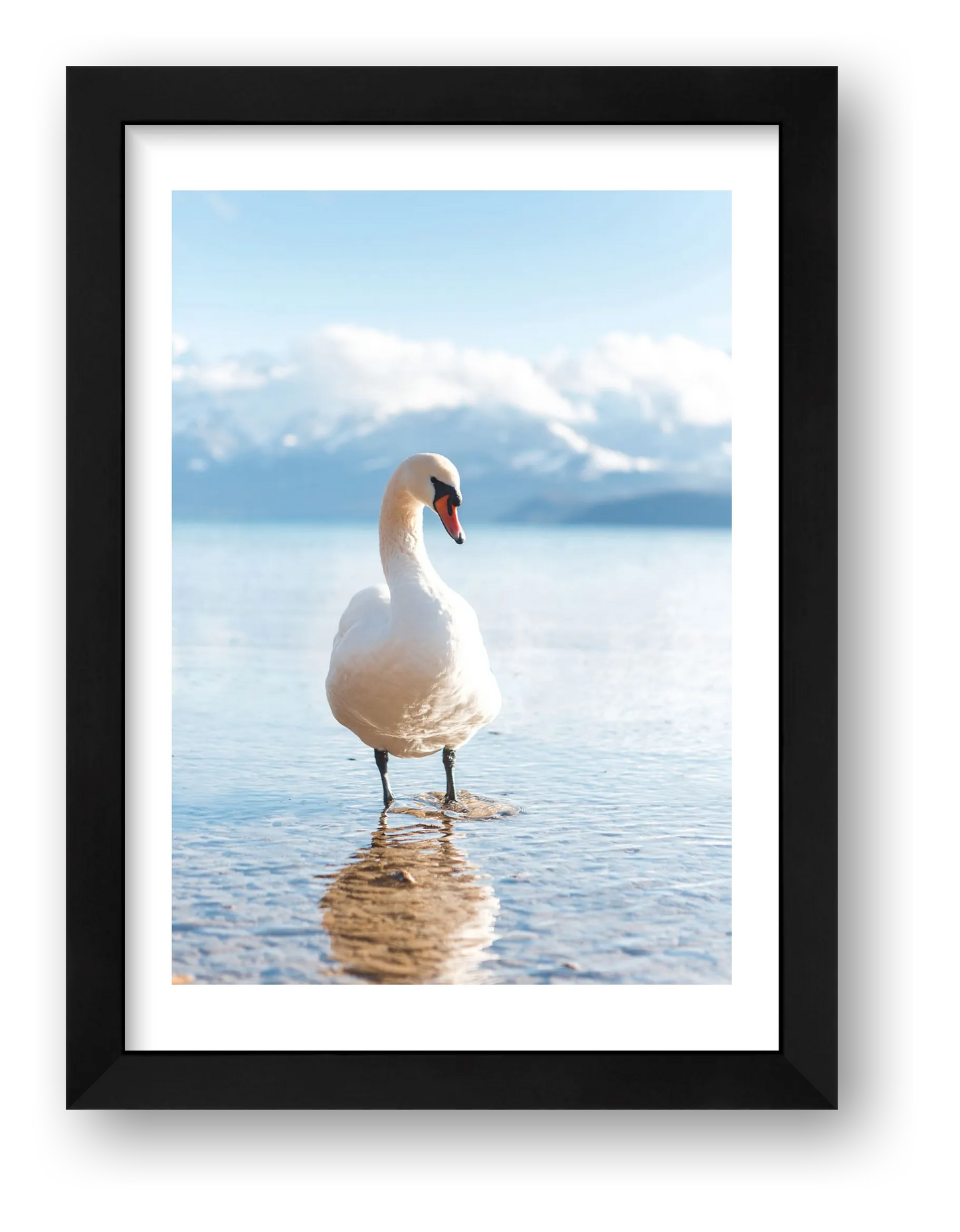 487 — framed