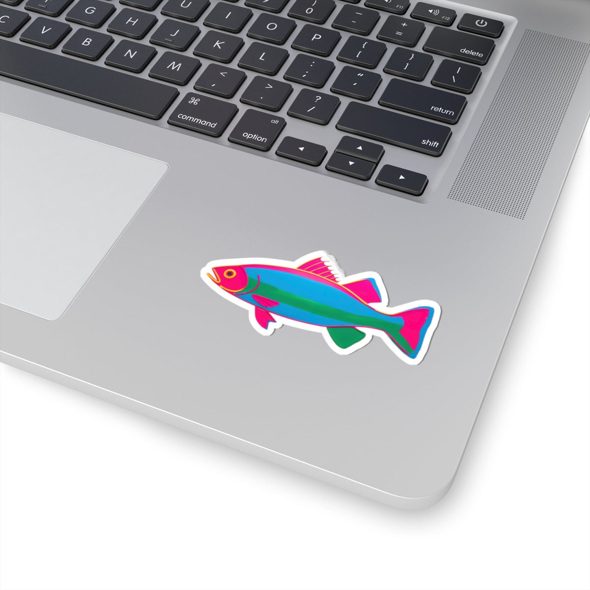 Stickers For Fish Lover Gift Colorful Trout Decal Woman Angler Present Lake Vacation Keepsake Outdoor Adventure Birthday Accessory Summer