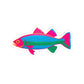 Stickers For Fish Lover Gift Colorful Trout Decal Woman Angler Present Lake Vacation Keepsake Outdoor Adventure Birthday Accessory Summer