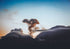 Volcan de Fuego fine art photograph Guatemala Volcano, print 