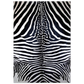 13551904-7f07-41bf-b49d-e69b06cf69a4