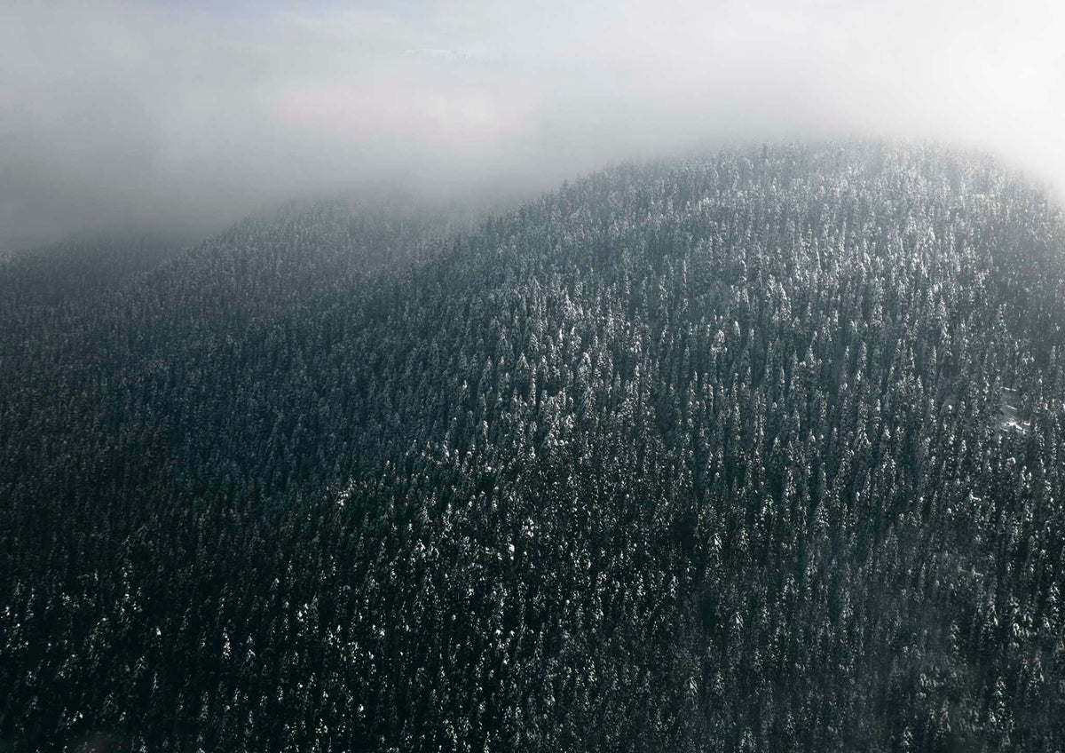 Snowy Landscape in Gulmarg, India #13