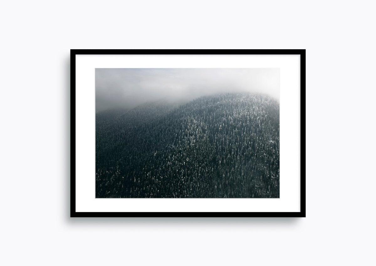 Snowy Landscape in Gulmarg, India #13