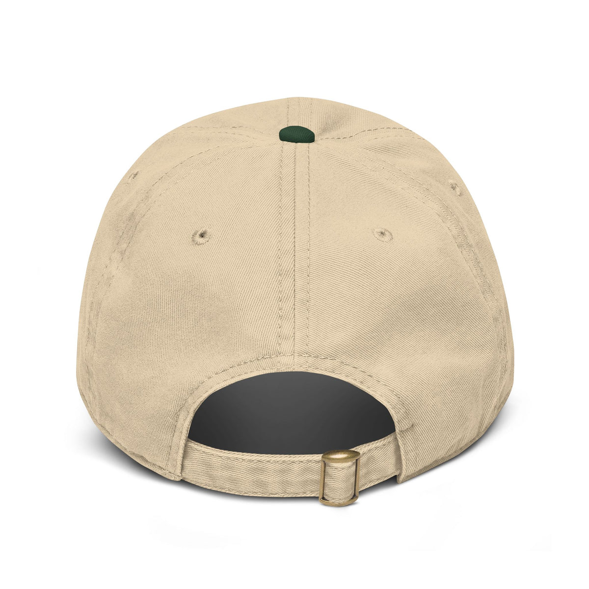 Cute Lizard Hat For Men USA 250th Anniversary Cap for Summer Camp America 250 Fourth Of July Hat Gift For Her Patriotic Cap for Boyfriend