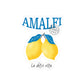 Lemon Sticker Gift For Fruit Lover Citrus Art Decal Present For Summer Fan Unique Aesthetic Item For Her Design Idea Accessory Item Idea