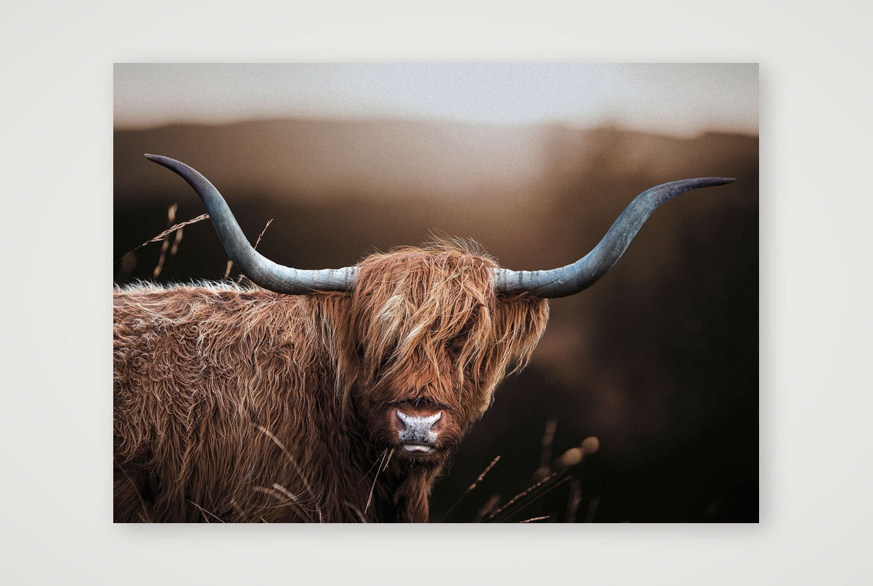 1590 — 59×42cm, 23×17" Print only