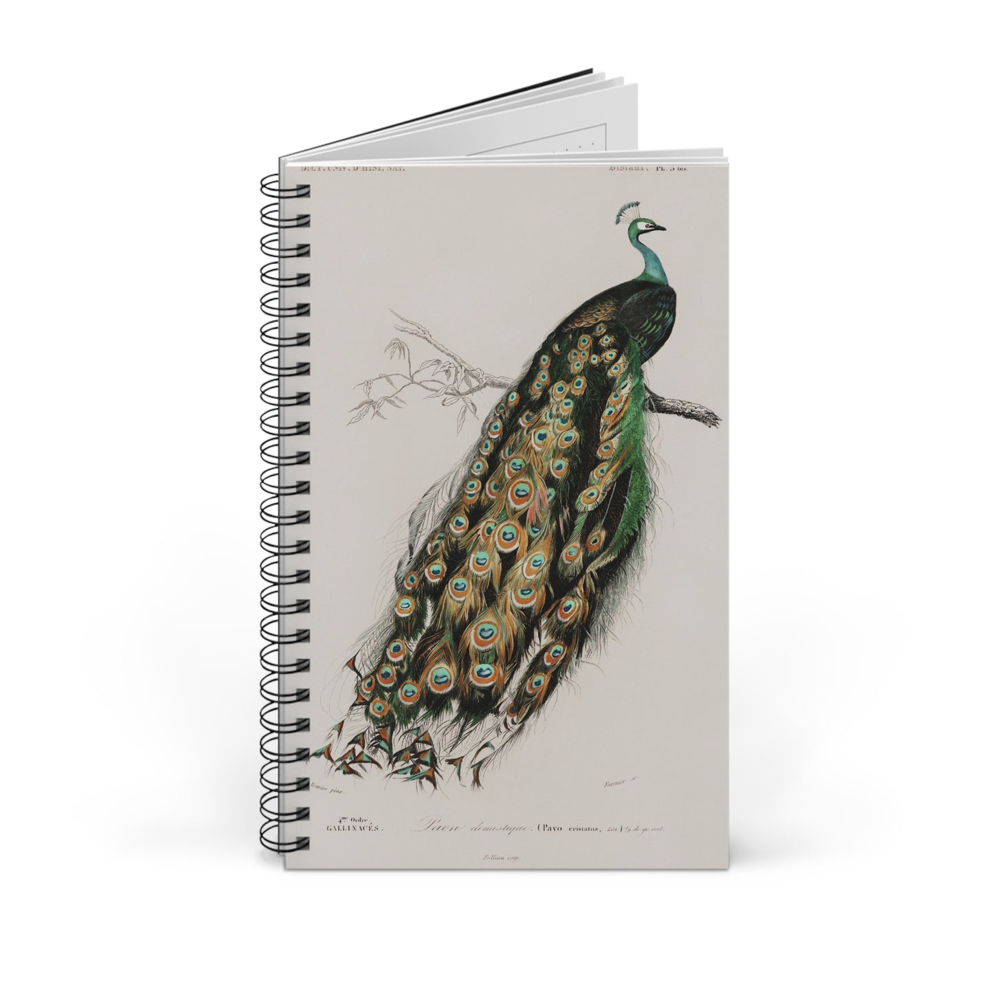 SUMMER - College Notebook Gift For Journalling Spiral Notebook - Ruled Line Journal For Woman Spiral Note Book Aesthetic Stationery Work Notebook