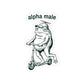 Funny Frog Sticker Gift For Dad Alpha Male Meme Decal Gift For Male Friend Cute Frog on Scooter Laptop Sticker Sarcastic Humor Gift Friend