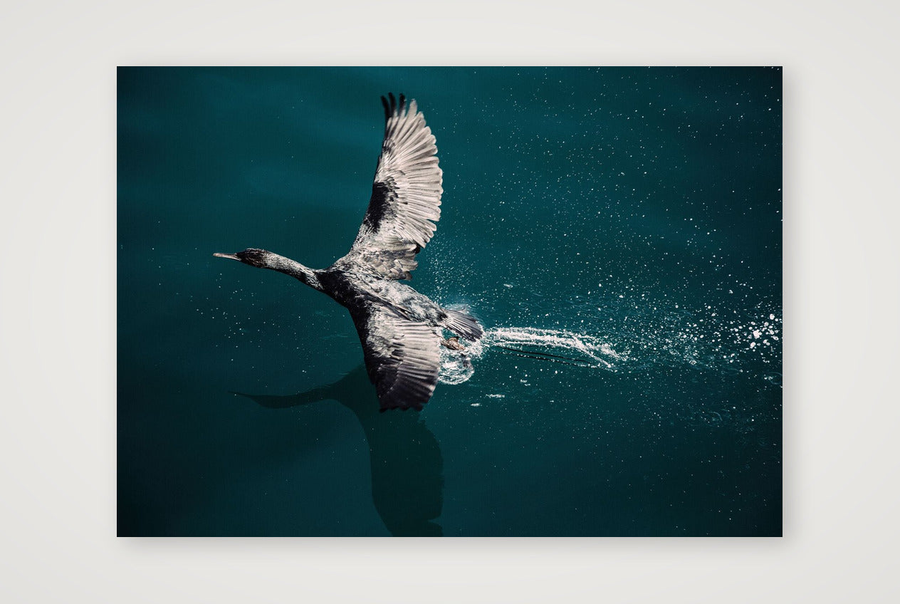 1284 — A3 (42×30cm, 17×12") Print only